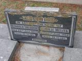 image of grave number 233905